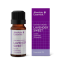 Absolute Essential 新西兰AE有机甜薰衣草精油纯植物精油10ml 保质期2031.4 